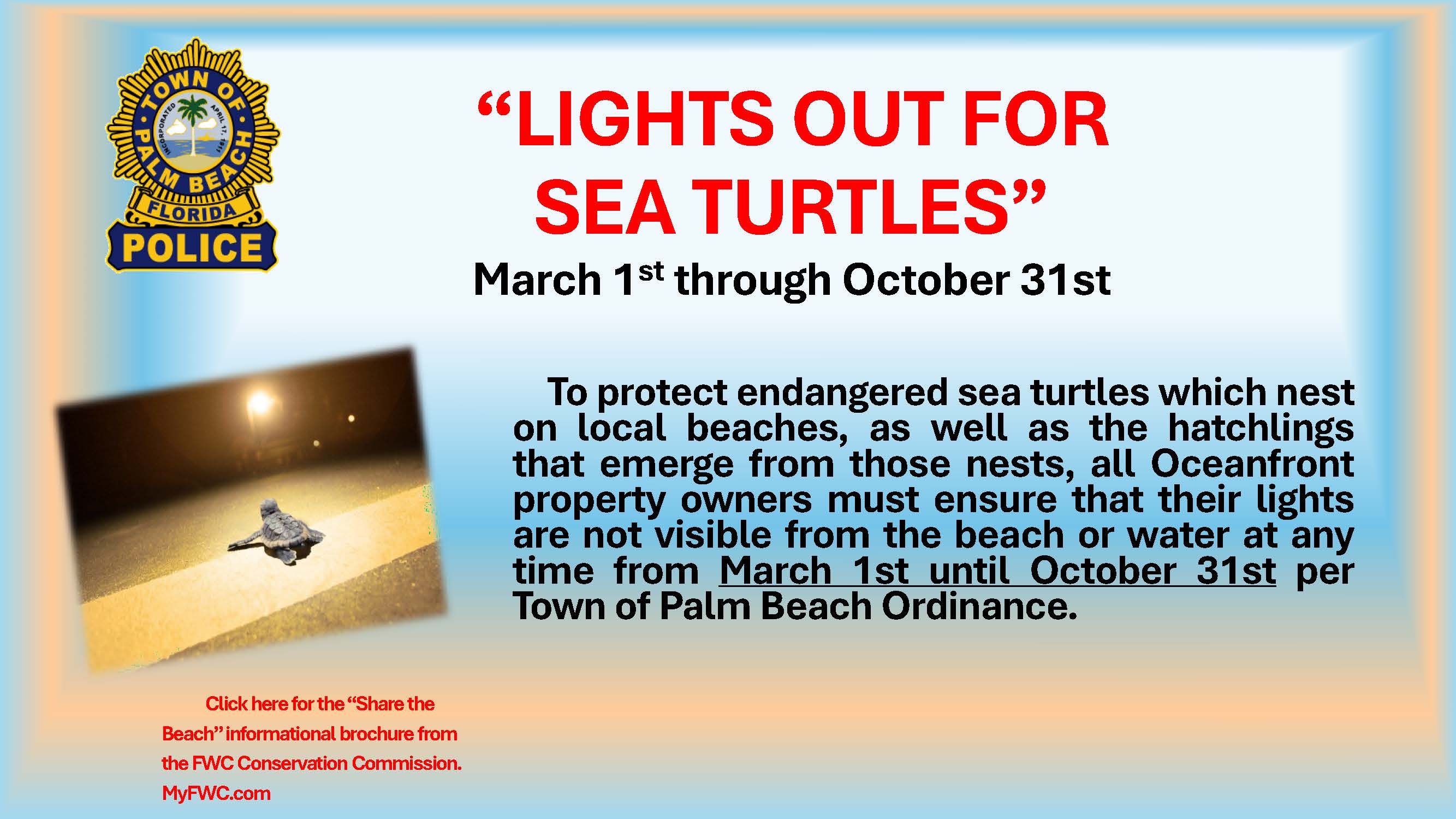 Lights Out for Sea Turtles 2026