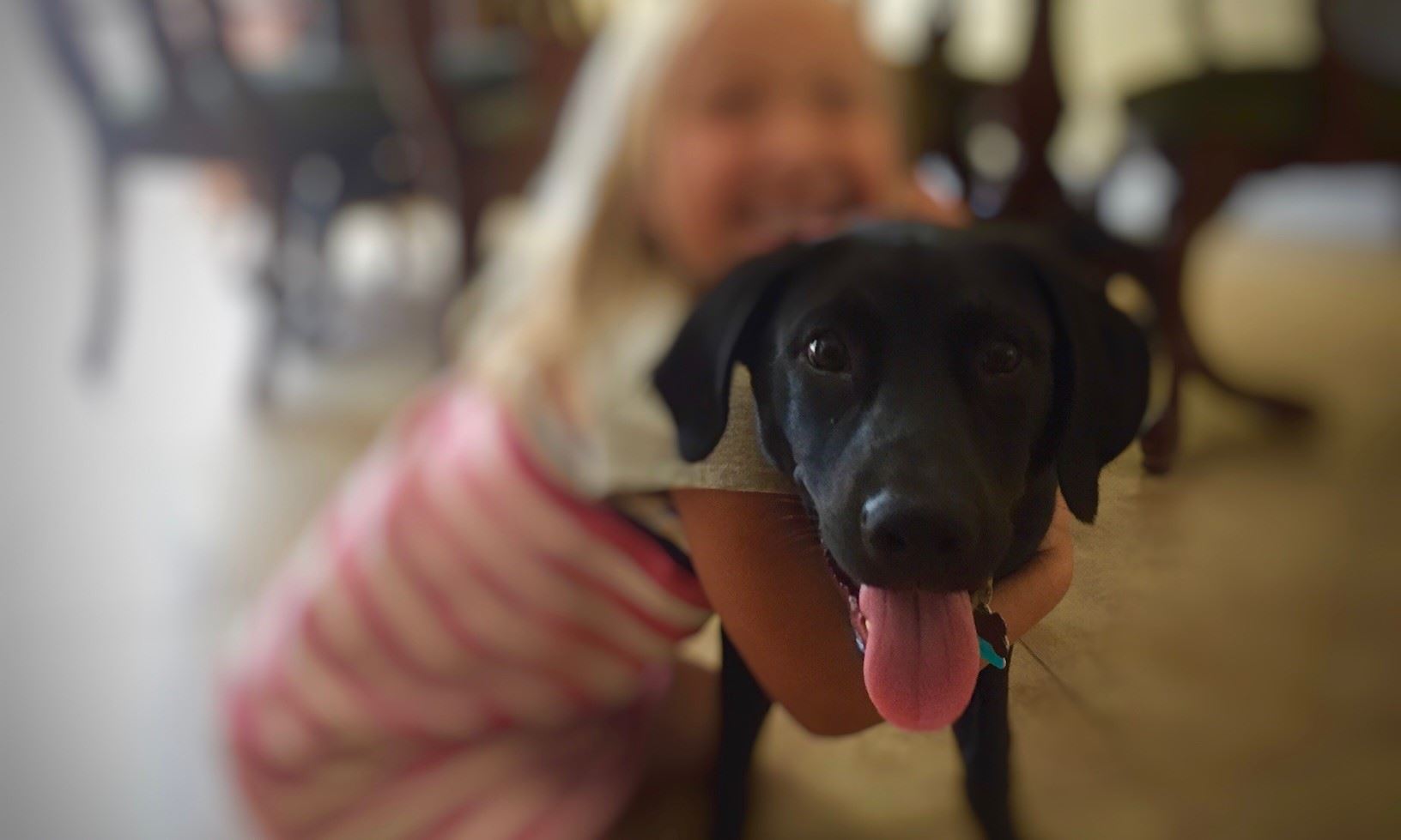 A young girl hugging a black dog