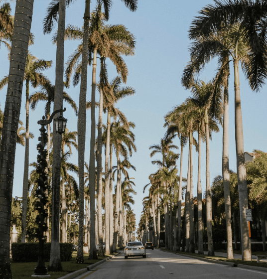 Royal Palm Way